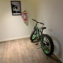 SPIN